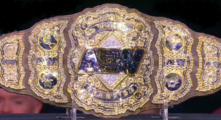 <span class="mw-page-title-main">AEW World Championship</span> Mens professional wrestling championship in All Elite Wrestling