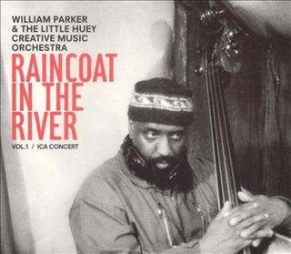 <i>Raincoat in the River</i> 2002 live album by William Parker & the Little Huey Creative Music Orchestra