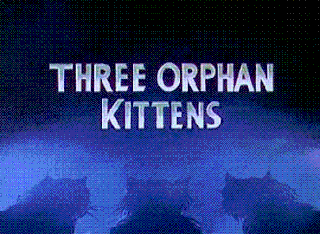 <i>Three Orphan Kittens</i> 1935 American film