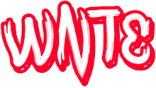 WNTE 89.5FM logo.png