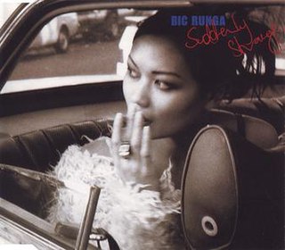 <span class="mw-page-title-main">Suddenly Strange</span> 1997 single by Bic Runga