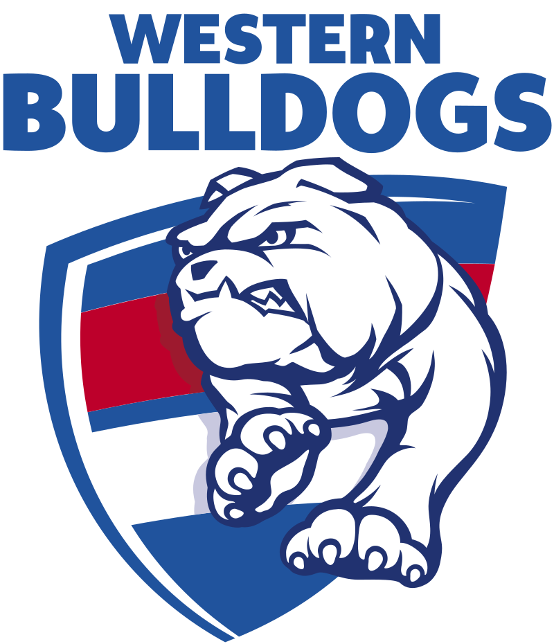 AFL 2023 Round 12 - Western Bulldogs v Geelong