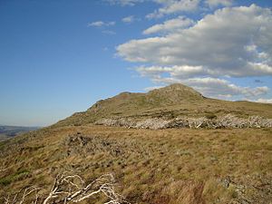 Mount Jagungal, NSW, Australien.jpg