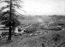 Eel River Valley Lumber Company'nin 1896 görüntüsü.