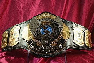 <span class="mw-page-title-main">OVW Heavyweight Championship</span> Professional wrestling championship