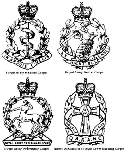 Cap Badges of the four medical nursing corps of the Army Medical Services.png