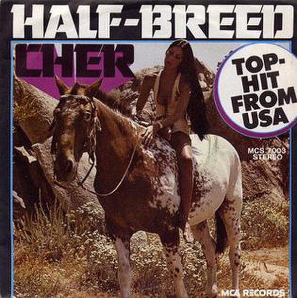 Image: Cher half USA cover