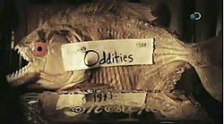 Odditiesfish.jpg 