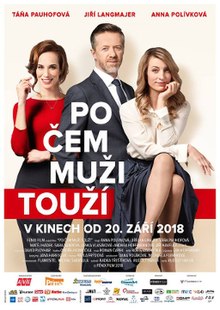 Po cem muzi touzi poster.jpg