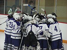 Red Wing High School Hockey Team Rwhshockey.jpg