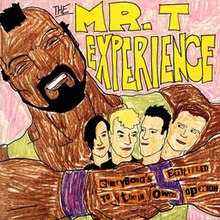 Mr. T Experience - همه به عقیده خود علاقه مند هستند cover.jpg