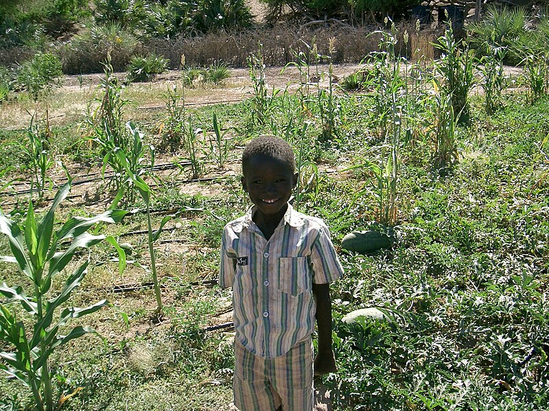 File:Turkana04.jpg