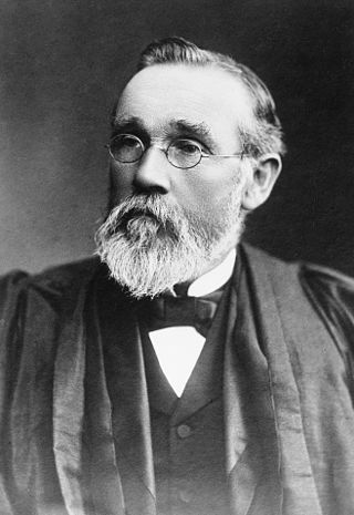 <span class="mw-page-title-main">Walter Howchin</span> English geologist (1845–1937)