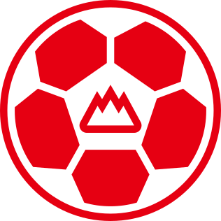 File:Shandong Taishan F.C.1993.svg