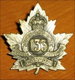 133rdBattCEFBadge.jpg