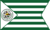 Flag of Green, Ohio.png