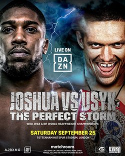 Joshua Usyk Official Poster.jpeg