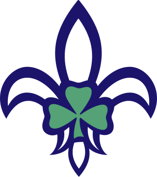 <span class="mw-page-title-main">Scouting Ireland</span> Irish Scouting organisation established in 2004