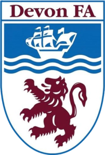 <span class="mw-page-title-main">Devon County Football Association</span>