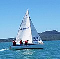 SCC Crown (Sailing 1).jpg