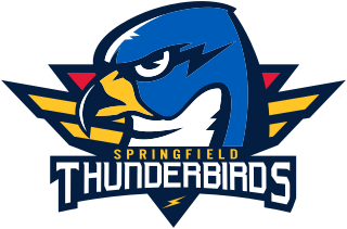 Springfield Thunderbirds American Hockey League team in Springfield, Massachusetts