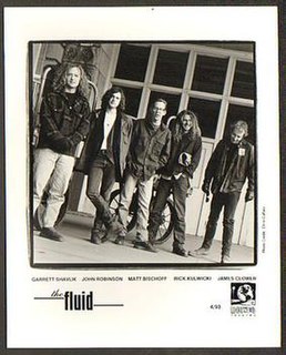 <span class="mw-page-title-main">The Fluid</span> American rock band