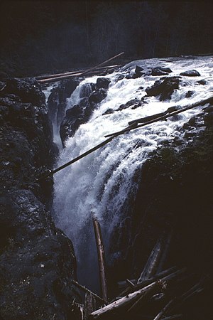 Upper Englishman River Falls Englishman Falls.jpg