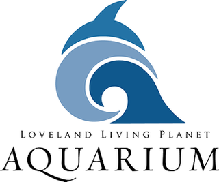 <span class="mw-page-title-main">Loveland Living Planet Aquarium</span> Aquarium in Utah, United States