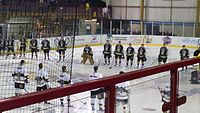 The side lining up facing the Nottingham Panthers for the national anthem during the Storm's first competitive match. Manchester Storm v Nottingham Panthers.jpg