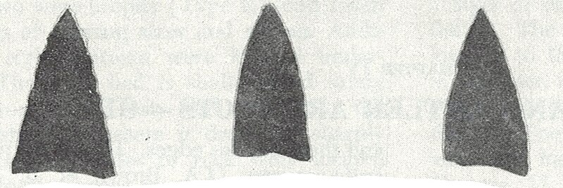 File:Zimmerman projectile points.jpeg