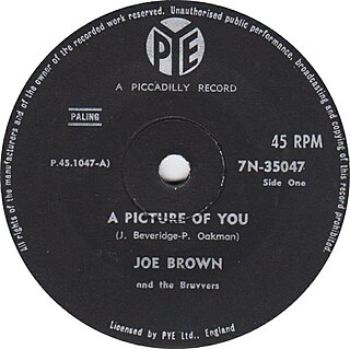 <span class="mw-page-title-main">A Picture of You (Joe Brown song)</span> 1962 single by Joe Brown