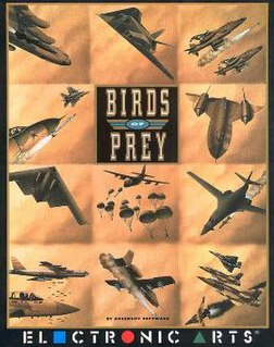<i>Birds of Prey</i> (video game) 1991 video game
