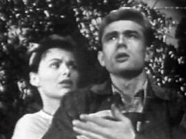 Sandra Michael scripted the 1953 Robert Montgomery Presents drama "Harvest" with James Dean and Nancy Sheridan