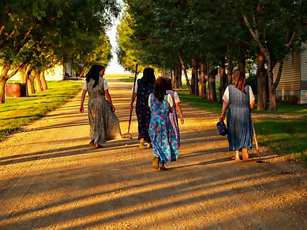 Hutterite women return from working in the fields at sunset.