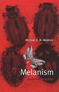 <i>Melanism: Evolution in Action</i> 1988 book by Mike Majerus