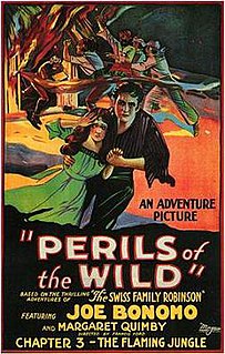 <i>Perils of the Wild</i> 1925 film