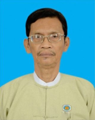 <span class="mw-page-title-main">Wai Sein Aung</span> Burmese politician