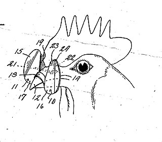 Blinders (poultry) devices fitted to, or through, the beaks of poultry to block their forward vision