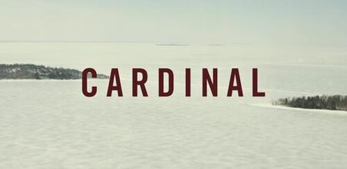 Cardinal (TV series)