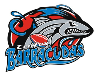 <span class="mw-page-title-main">CenTex Barracudas</span> Texas profession indoor football team from the now defunct Intense Football League (IFL)