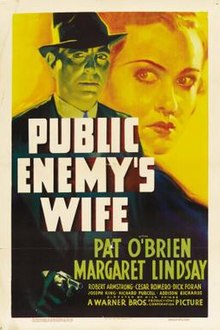 Public Enemy Istri poster.jpg