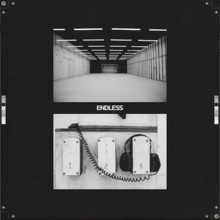 Endless (Frank Ocean album) - Wikipedia