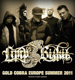 Gold Cobra Tour 2010–11 concert tour by Limp Bizkit