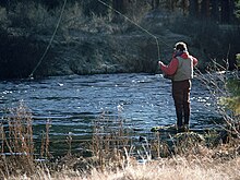 The Paulins Kill is a popular destination for anglers in search of several species of trout