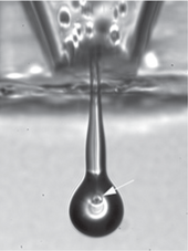 Retinal cells within a drop being sprayed from an inkjet nozzle Retinal cell in jet.png