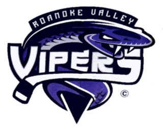 <span class="mw-page-title-main">Roanoke Valley Vipers</span> Ice hockey team in Roanoke, Virginia