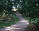 Rushmere Common