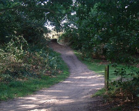 Rushmere common 2