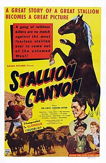 <i>Stallion Canyon</i> 1949 American film