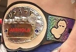 <span class="mw-page-title-main">GAY World Anal Championship</span> Professional wrestling championship